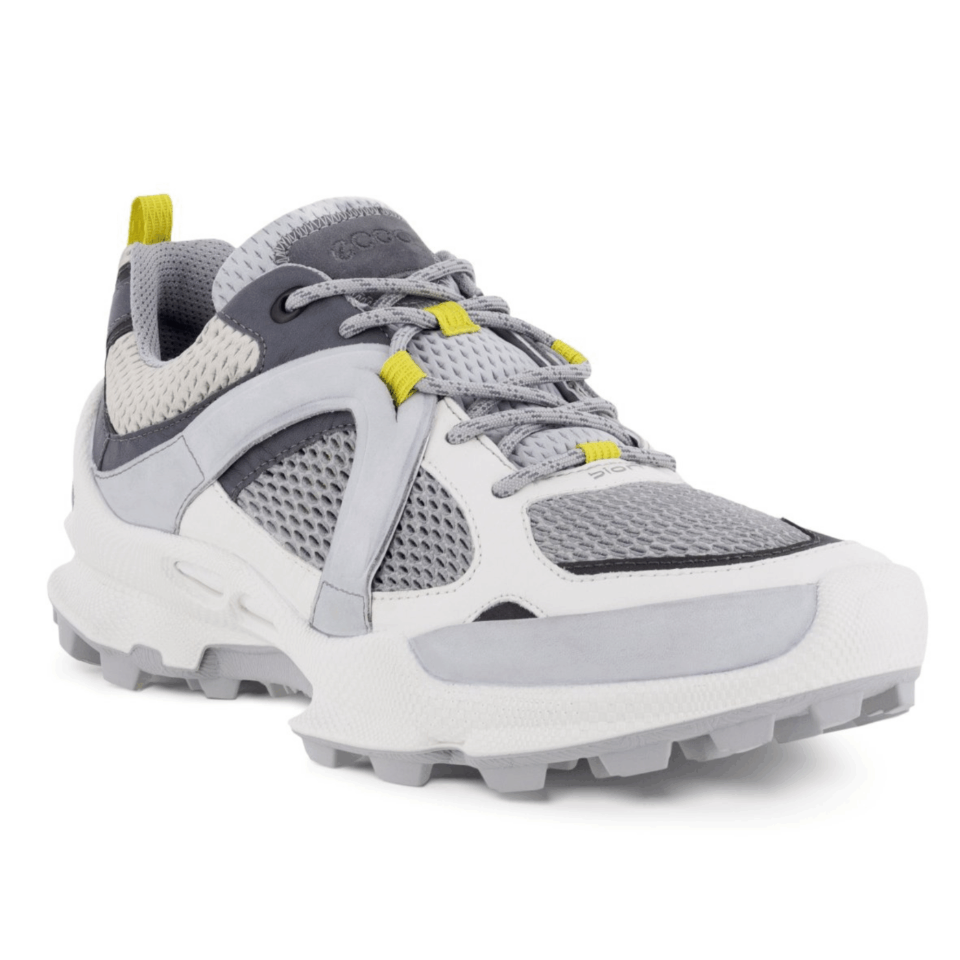 ECCO Biom C-Trail M