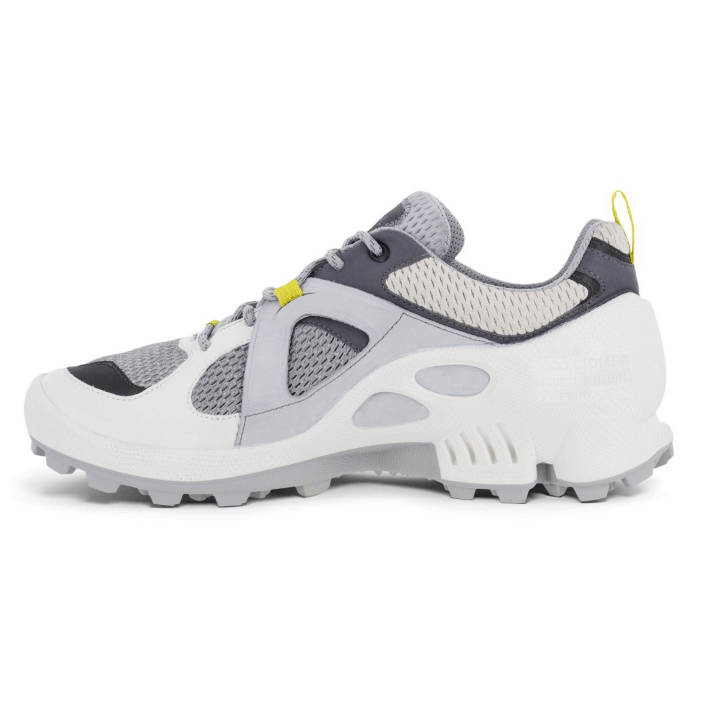 ECCO Biom C-Trail M
