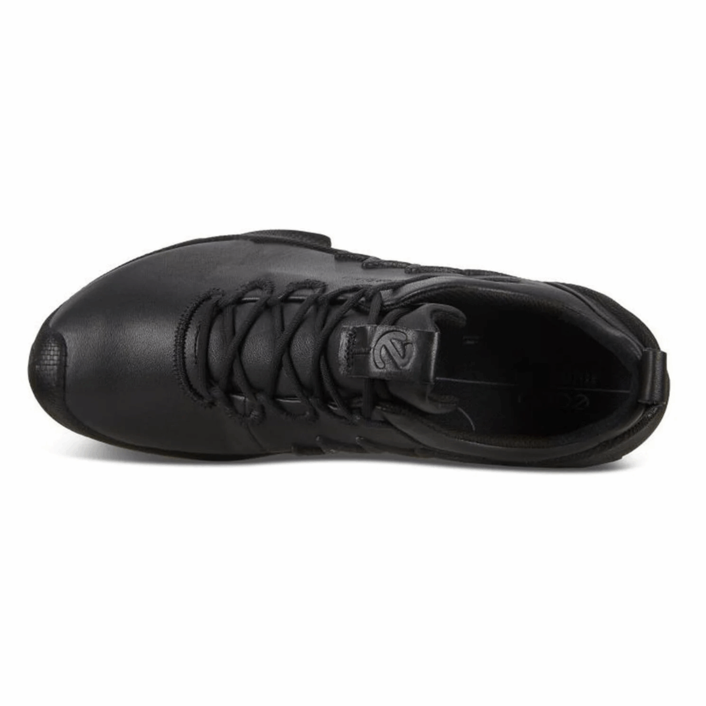ECCO Great Step Exploration Series