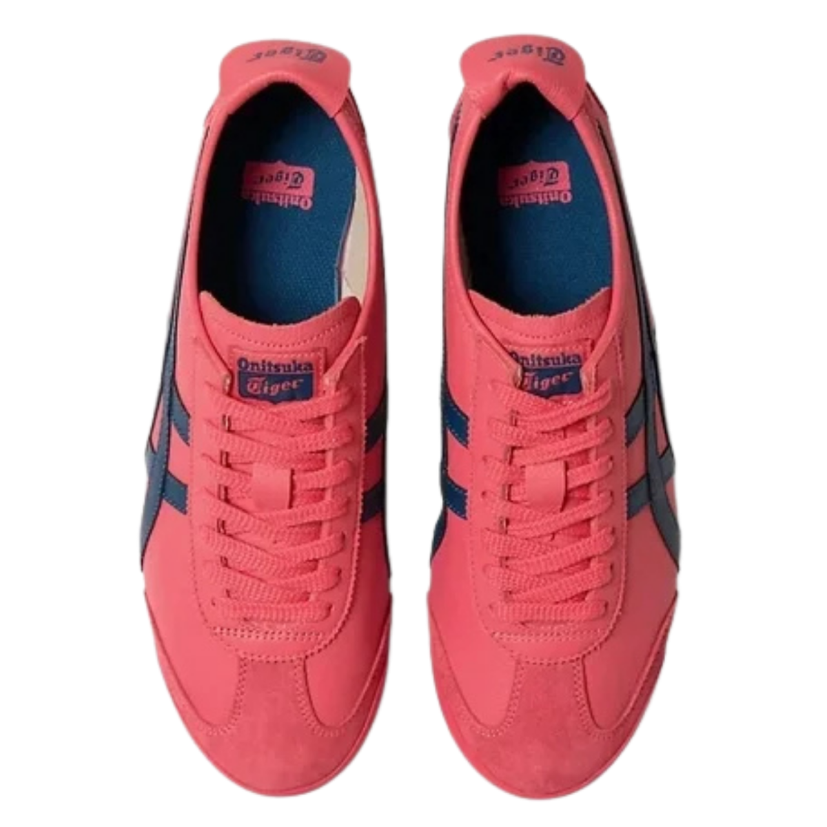 Onitsuka Tiger Mexico 66 Leather Pink Cameo / Mako Blue - vista superior