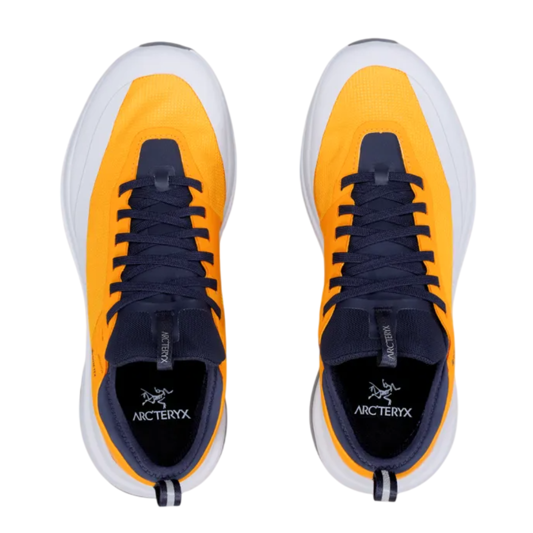 Arc’teryx Sylan GTX GORE TEX - Edziza/Solitude 2 Arc’teryx Sylan GTX GORE TEX - Edziza/Solitude